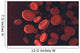 Red Blood Cells Wall Decal