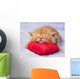 Kitten sleeping on the heart-shaped pillow Wall Decal