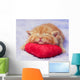 Kitten sleeping on the heart-shaped pillow Wall Decal