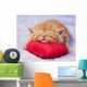 Kitten sleeping on the heart-shaped pillow Wall Decal