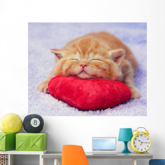 Kitten sleeping on the heart-shaped pillow Wall Decal