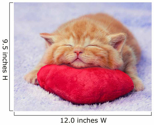 Kitten sleeping on the heart-shaped pillow Wall Decal