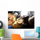 Hombre tocando la bater&atilde;­a.Fondo de m&uacute;sica Wall Decal