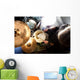 Hombre tocando la bater&atilde;­a.Fondo de m&uacute;sica Wall Decal