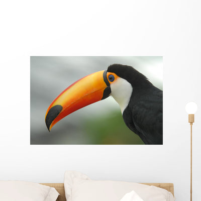 Profile Toucan Wall Decal shown on a wall