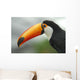 Profile Toucan Wall Decal