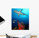 Caribbean Reef Shark Wall Decal
