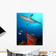 Caribbean Reef Shark Wall Decal