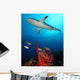 Caribbean Reef Shark Wall Decal