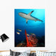 Caribbean Reef Shark Wall Decal