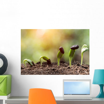 Seed Root On Soil With Sunbeam New Life Concept Wall Decal shown on a wall