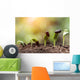seed root on soil with sunbeam new life concept Wall Decal