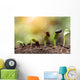 seed root on soil with sunbeam new life concept Wall Decal