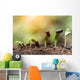 seed root on soil with sunbeam new life concept Wall Decal