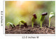 seed root on soil with sunbeam new life concept Wall Decal