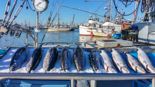 Fish Market at Steveston Village Wall Decal
