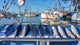 Fish Market at Steveston Village Wall Decal
