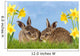 Frohe Ostern Wall Decal