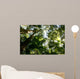 Tropical Green Leaves Fraser Wall Decal
