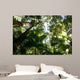 Tropical Green Leaves Fraser Wall Decal