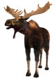 Moose Wall Decal