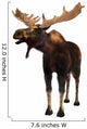 Moose Wall Decal