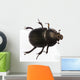 Bug Wall Decal
