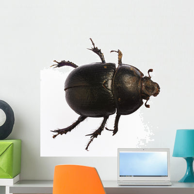 Bug Wall Decal shown on a wall