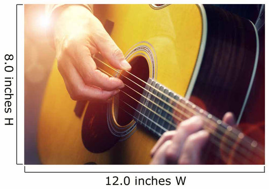 Guitarist Wall Decal