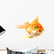 Golden koi fish scared isolated on white background. Wall Decal