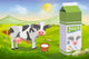 Cute cow and milk pack Wall Decal
