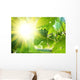 Sun shining through grapevine leaves Wall Decal