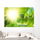 Sun shining through grapevine leaves Wall Decal