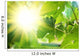 Sun shining through grapevine leaves Wall Decal