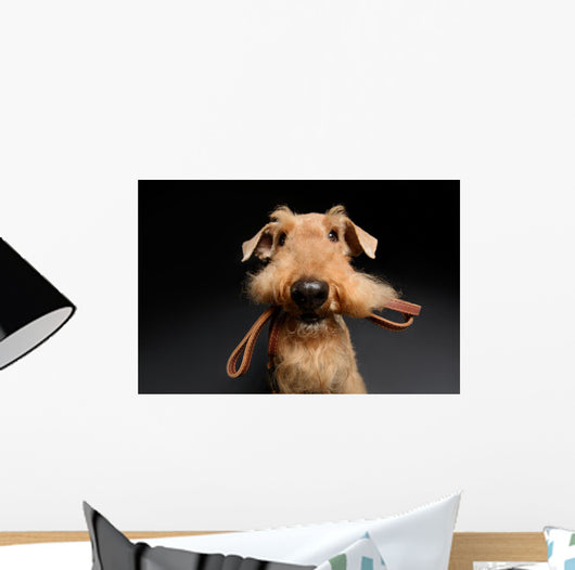 Dog is your best friend Wall Decal