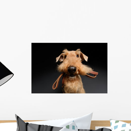 Dog is your best friend Wall Decal