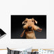 Dog is your best friend Wall Decal