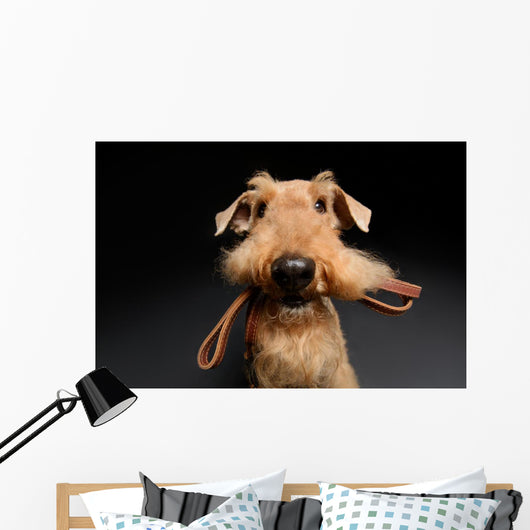 Dog is your best friend Wall Decal