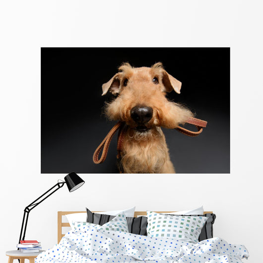 Dog is your best friend Wall Decal