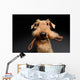 Dog is your best friend Wall Decal