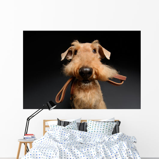 Dog is your best friend Wall Decal