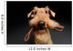 Dog is your best friend Wall Decal