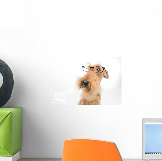 Dog is your best friend Wall Decal