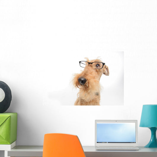 Dog is your best friend Wall Decal