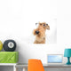 Dog is your best friend Wall Decal