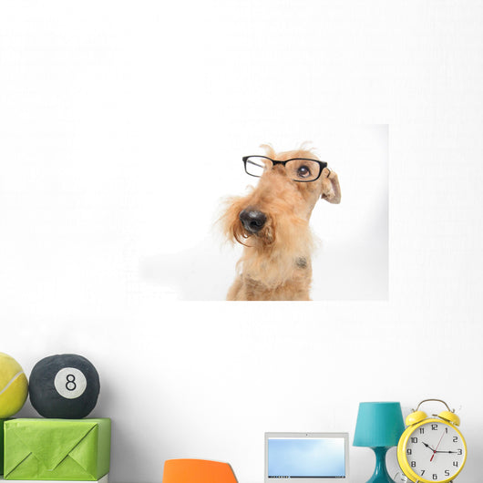 Dog is your best friend Wall Decal