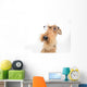 Dog is your best friend Wall Decal