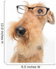 Dog is your best friend Wall Decal