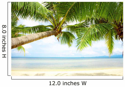 Tropic Shadow Wall Decal
