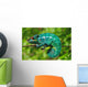 Chameleon the Asleep Wall Decal